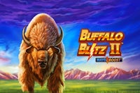 Buffalo Blitz II